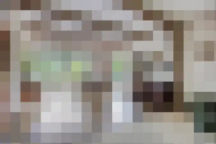 Olijdamlaan 7 Goor thumbnail 14