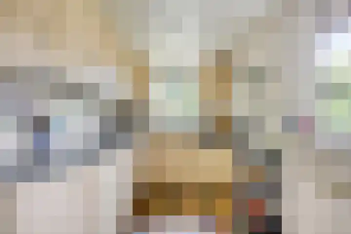 Olijdamlaan 7 Goor thumbnail 20