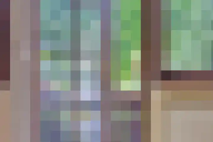 Olijdamlaan 7 Goor thumbnail 29