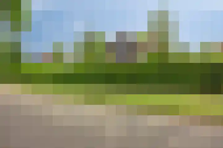 Olijdamlaan 7 Goor foto 3
