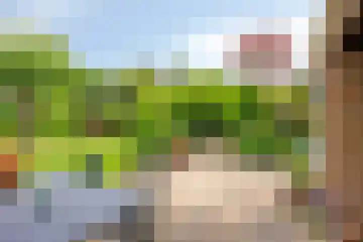 Olijdamlaan 7 Goor thumbnail 39