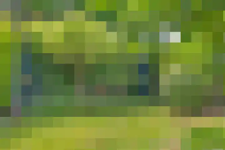 Olijdamlaan 7 Goor thumbnail 41