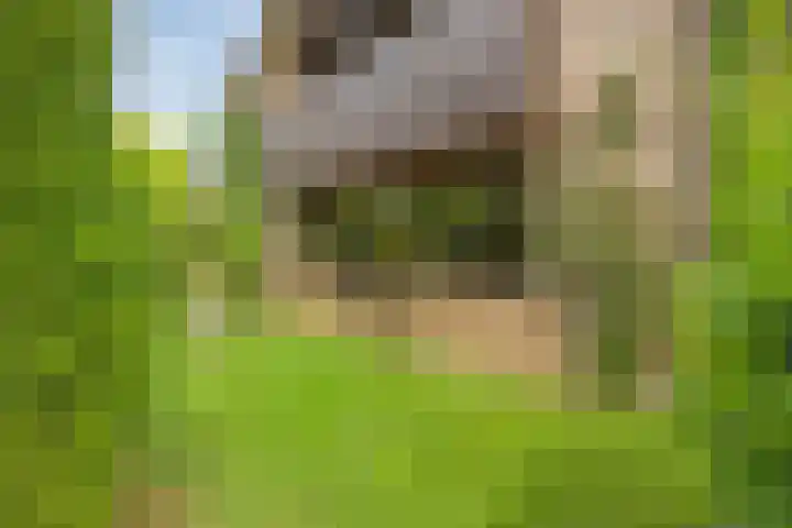 Olijdamlaan 7 Goor thumbnail 43