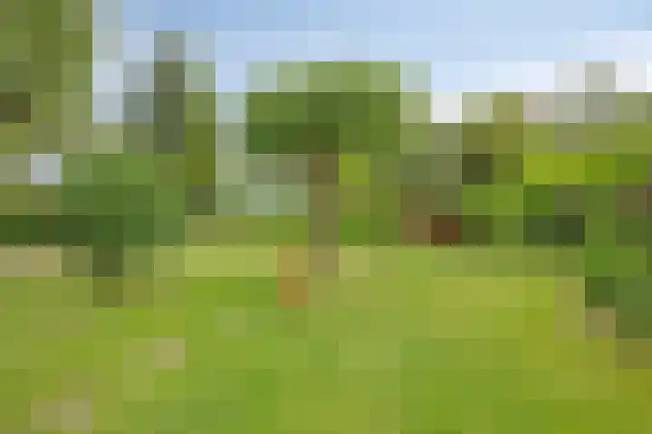 Olijdamlaan 7 Goor thumbnail 44