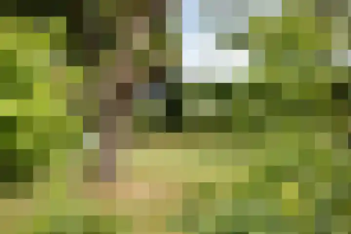 Olijdamlaan 7 Goor thumbnail 48