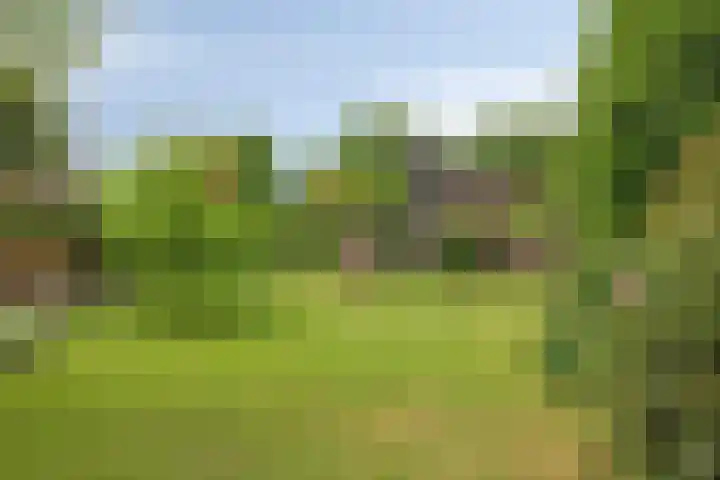 Olijdamlaan 7 Goor thumbnail 49