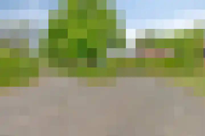 Olijdamlaan 7 Goor thumbnail 50