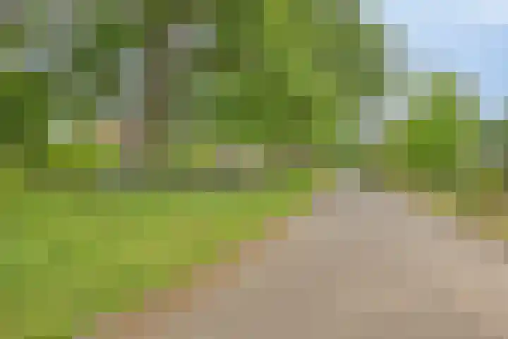 Olijdamlaan 7 Goor thumbnail 51
