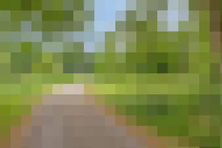 Olijdamlaan 7 Goor thumbnail 54