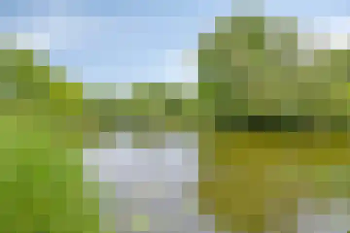 Olijdamlaan 7 Goor thumbnail 55