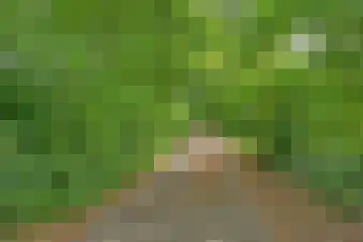 Olijdamlaan 7 Goor thumbnail 56