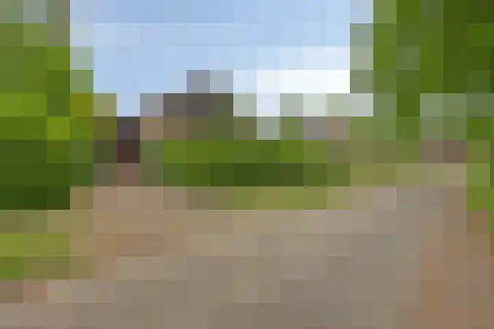 Olijdamlaan 7 Goor thumbnail 62