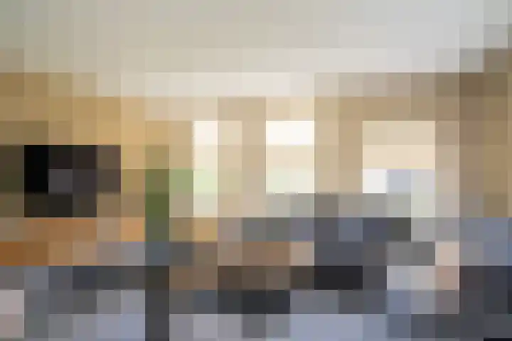 Olink Es 1 Enschede thumbnail 10