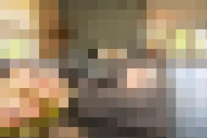 Olink Es 1 Enschede thumbnail 11