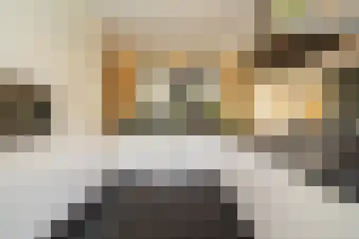Olink Es 1 Enschede thumbnail 16