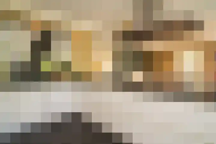 Olink Es 1 Enschede thumbnail 17