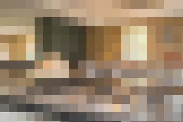 Olink Es 1 Enschede thumbnail 18