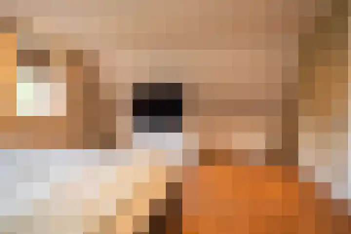 Olink Es 1 Enschede thumbnail 24