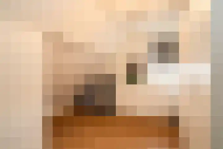Olink Es 1 Enschede thumbnail 27