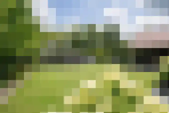 Olink Es 1 Enschede thumbnail 38