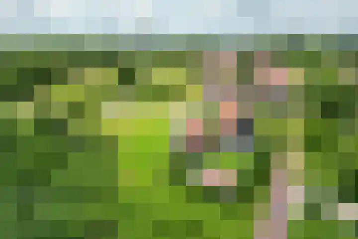 Olink Es 1 Enschede thumbnail 39