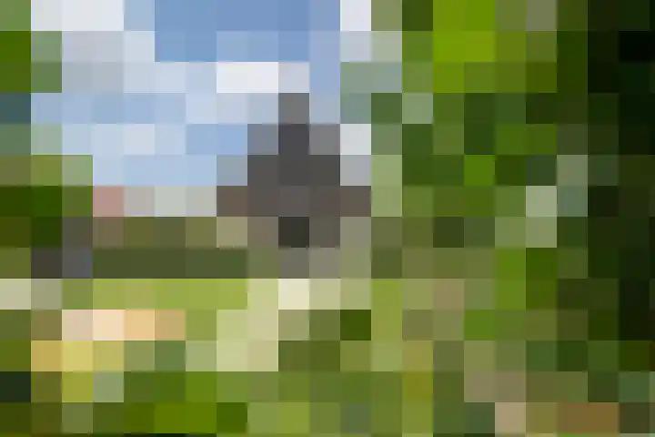 Olink Es 1 Enschede thumbnail 4