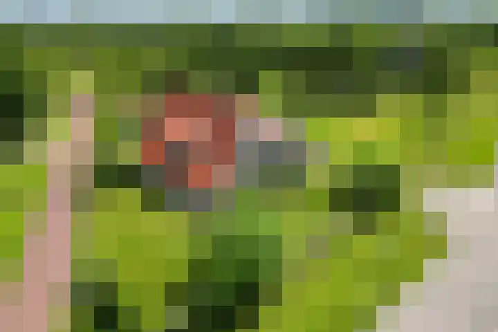 Olink Es 1 Enschede thumbnail 42