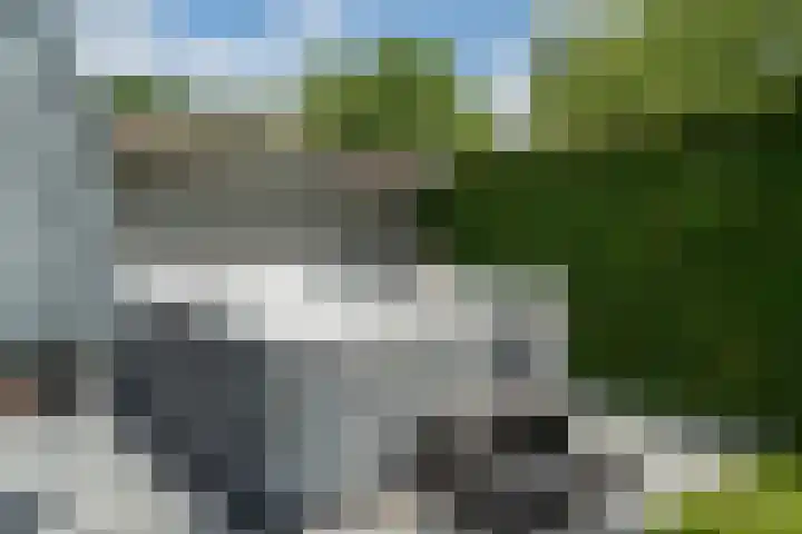Olink Es 1 Enschede thumbnail 43