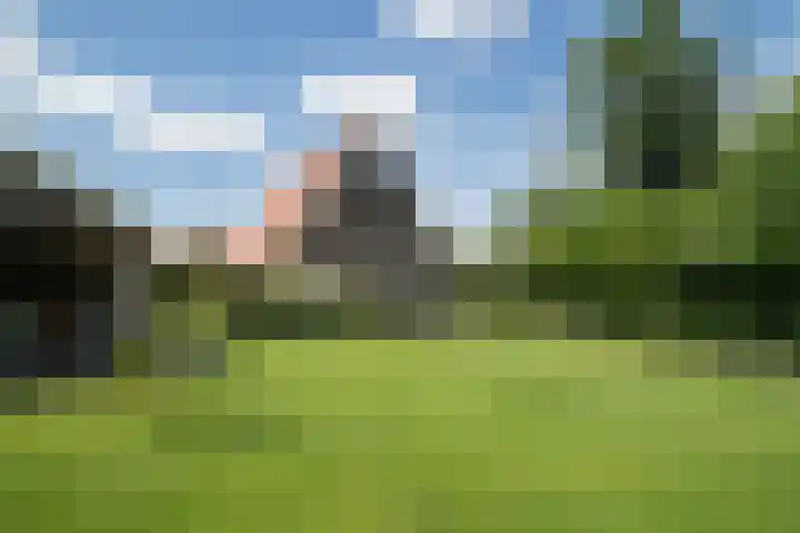 Olink Es 1 Enschede thumbnail 44
