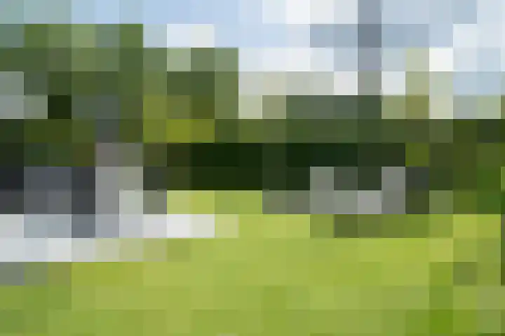 Olink Es 1 Enschede thumbnail 47