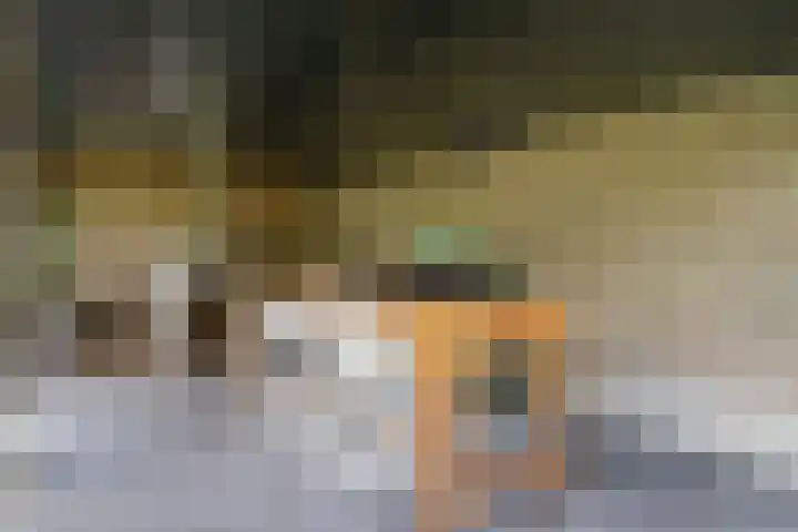 Olink Es 1 Enschede thumbnail 48