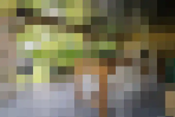 Olink Es 1 Enschede thumbnail 49