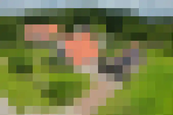 Olink Es 1 Enschede thumbnail 5