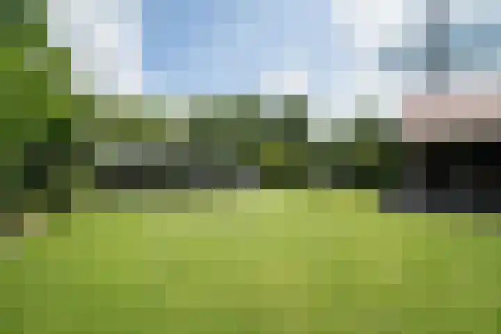 Olink Es 1 Enschede thumbnail 50