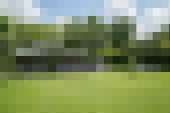 Olink Es 1 Enschede thumbnail 51