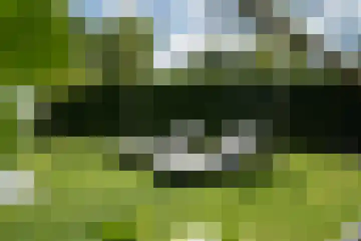 Olink Es 1 Enschede thumbnail 52