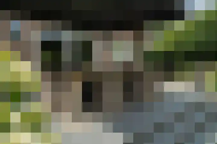 Olink Es 1 Enschede thumbnail 54