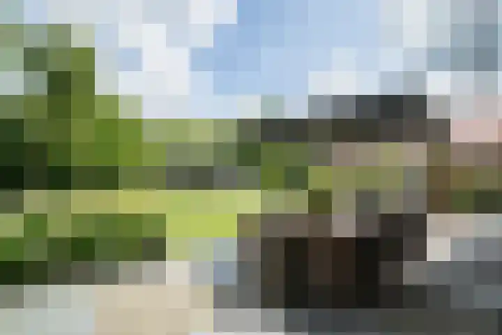 Olink Es 1 Enschede thumbnail 55
