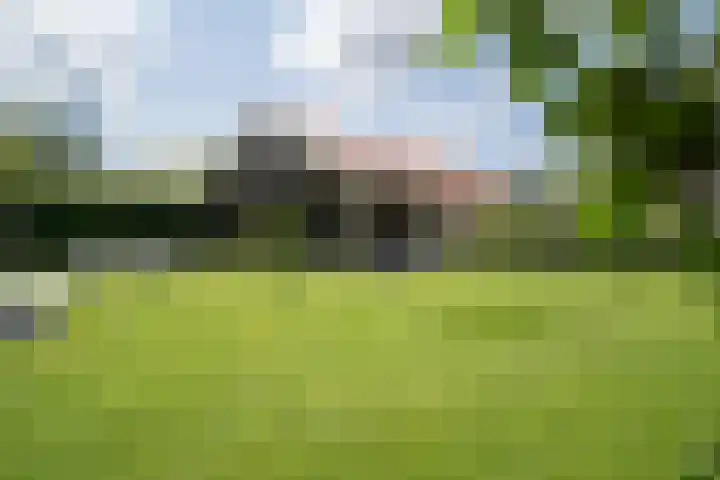 Olink Es 1 Enschede thumbnail 57