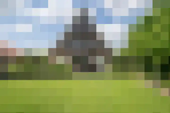 Olink Es 1 Enschede thumbnail 58