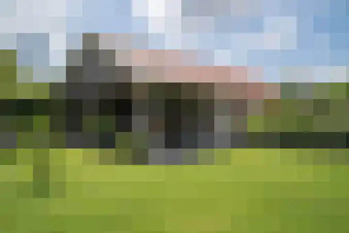 Olink Es 1 Enschede thumbnail 59