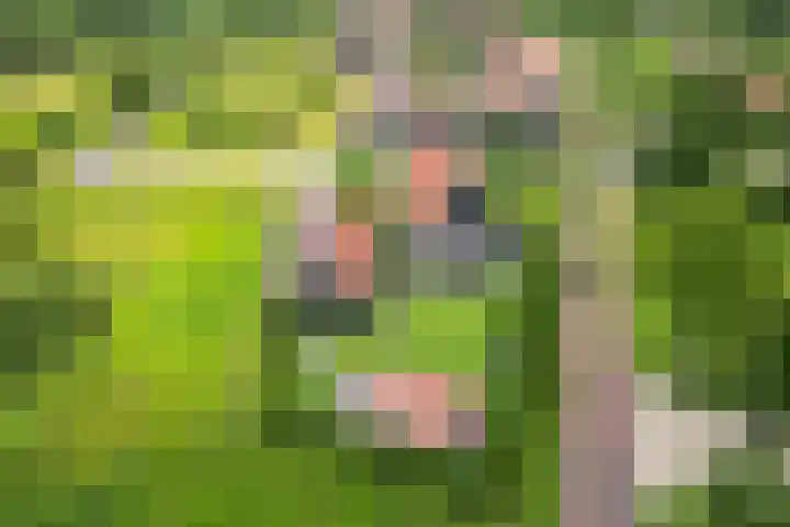 Olink Es 1 Enschede thumbnail 60