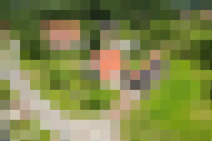 Olink Es 1 Enschede thumbnail 61