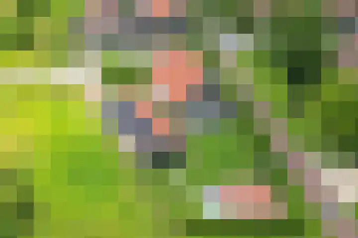 Olink Es 1 Enschede thumbnail 62