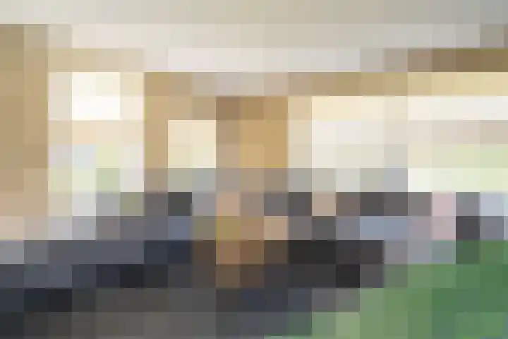 Olink Es 1 Enschede thumbnail 8