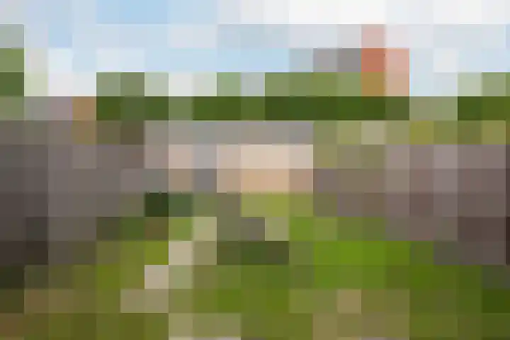 Olmendal 77 Maassluis thumbnail 15
