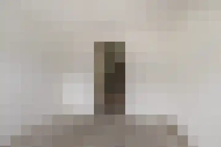 Olmendal 77 Maassluis thumbnail 21