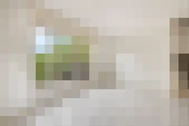 Olmendreef 2 c Steenbergen thumbnail 14