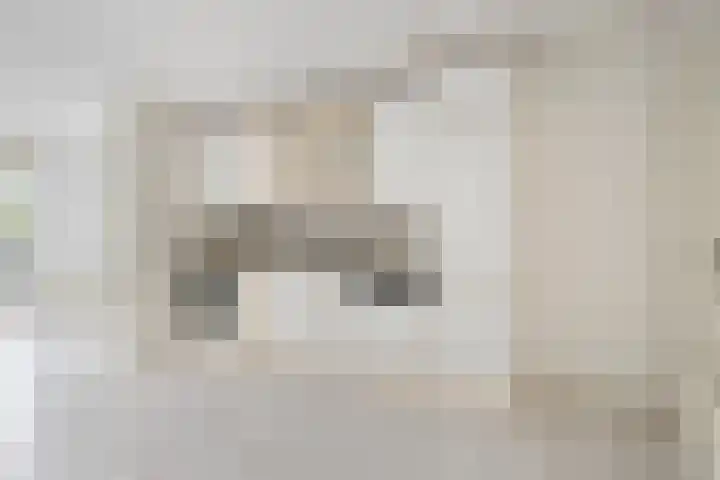 Olmendreef 2 c Steenbergen thumbnail 15