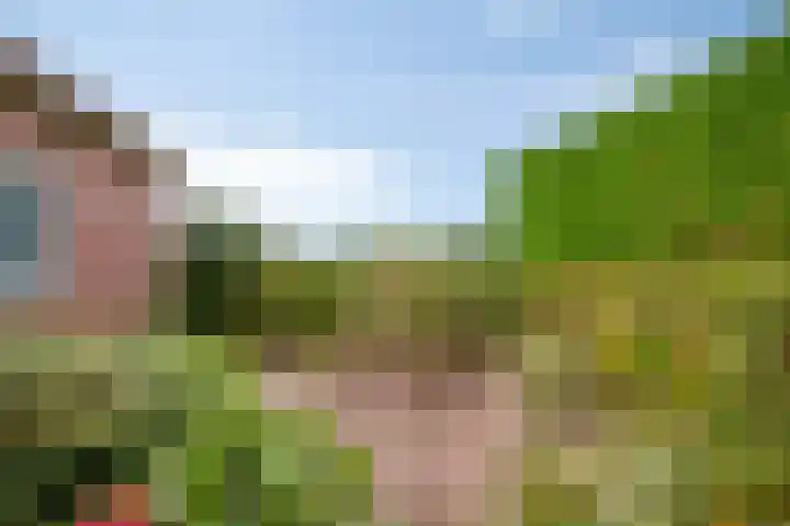 Olmendreef 2 c Steenbergen thumbnail 28